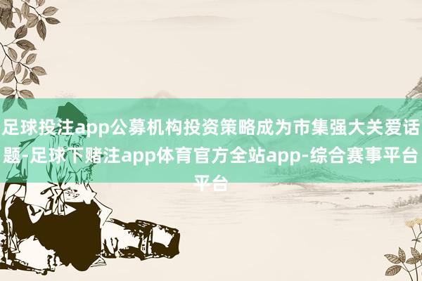 足球投注app公募机构投资策略成为市集强大关爱话题-足球下赌注app体育官方全站app-综合赛事平台