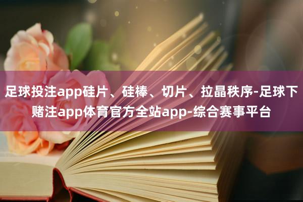 足球投注app硅片、硅棒、切片、拉晶秩序-足球下赌注app体育官方全站app-综合赛事平台