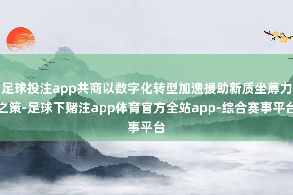 足球投注app共商以数字化转型加速援助新质坐蓐力之策-足球下赌注app体育官方全站app-综合赛事平台