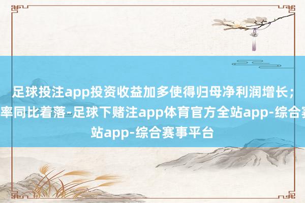 足球投注app投资收益加多使得归母净利润增长；2）毛利率同比着落-足球下赌注app体育官方全站app-综合赛事平台