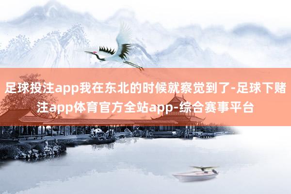 足球投注app我在东北的时候就察觉到了-足球下赌注app体育官方全站app-综合赛事平台