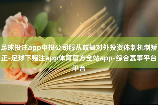 足球投注app中投公司服从鼓舞对外投资体制机制矫正-足球下赌注app体育官方全站app-综合赛事平台