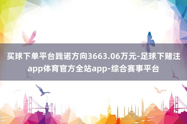 买球下单平台践诺方向3663.06万元-足球下赌注app体育官方全站app-综合赛事平台