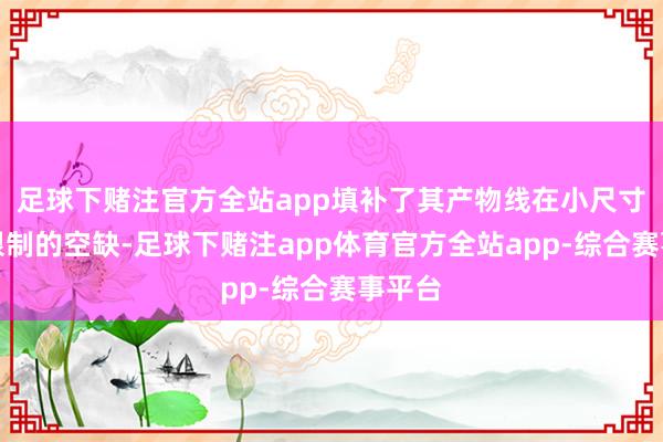 足球下赌注官方全站app填补了其产物线在小尺寸显卡限制的空缺-足球下赌注app体育官方全站app-综合赛事平台