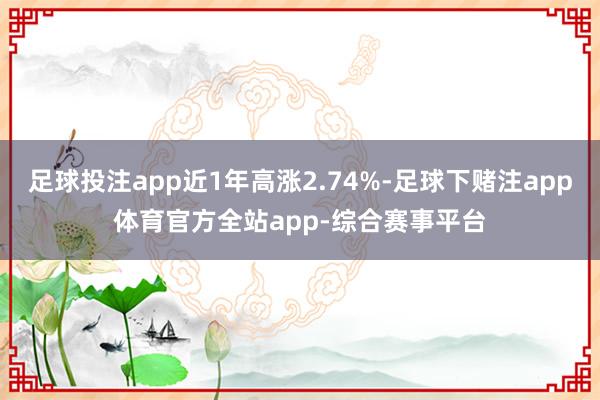 足球投注app近1年高涨2.74%-足球下赌注app体育官方全站app-综合赛事平台