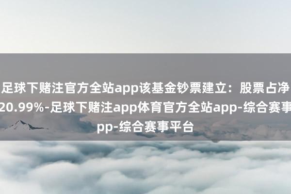 足球下赌注官方全站app该基金钞票建立：股票占净值比20.99%-足球下赌注app体育官方全站app-综合赛事平台