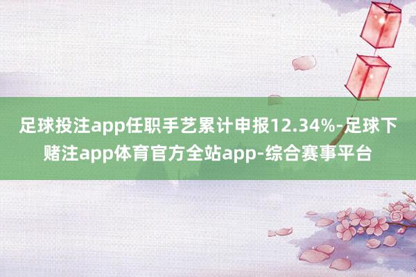 足球投注app任职手艺累计申报12.34%-足球下赌注app体育官方全站app-综合赛事平台