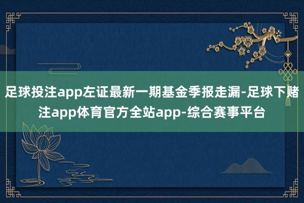 足球投注app左证最新一期基金季报走漏-足球下赌注app体育官方全站app-综合赛事平台